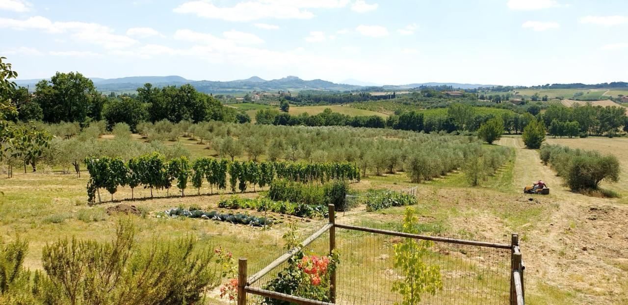 Casina Di Pacina Villa Abbadia di Montepulciano Exterior foto
